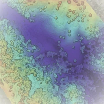 Surface model of the parcel